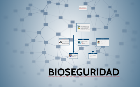 Mapa Conceptual Bioseguridad Alejandro Perez by Alejo Perez on Prezi