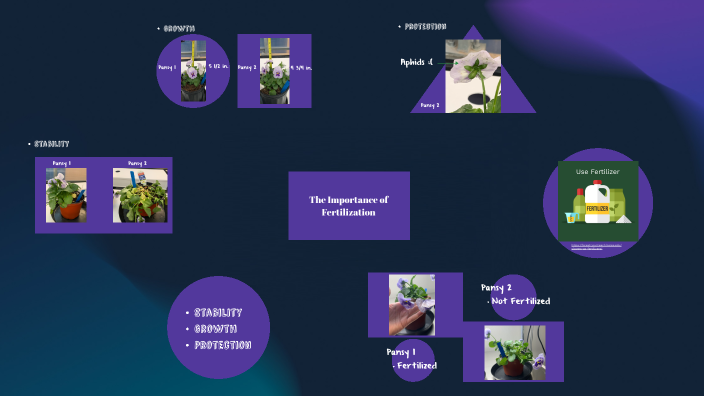The Importance of Fertilization by Hannah Carrington on Prezi
