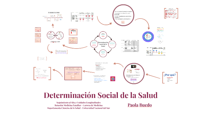 Determinación Social De La Salud By Paola Buedo