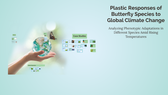 Plastic Responses of Butterfly Species to Global Climate Change by Alex ...