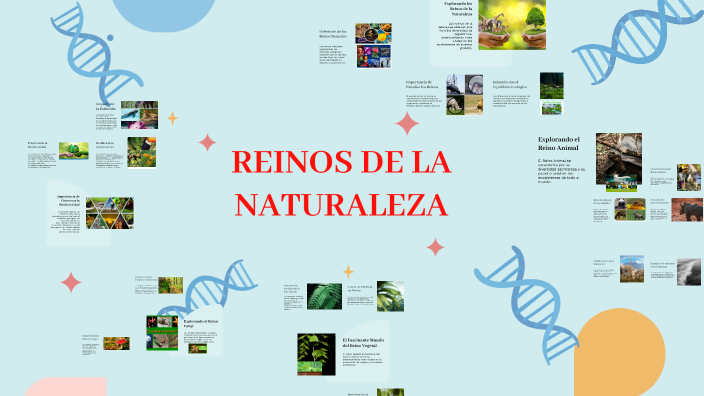 Explorando los Reinos de la Naturaleza by Alexxx Ugarte on Prezi