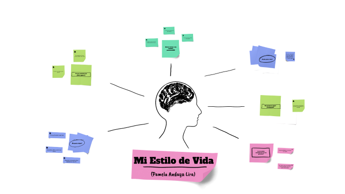 Diagrama Estilo De Vida By Pamela Andaya On Prezi