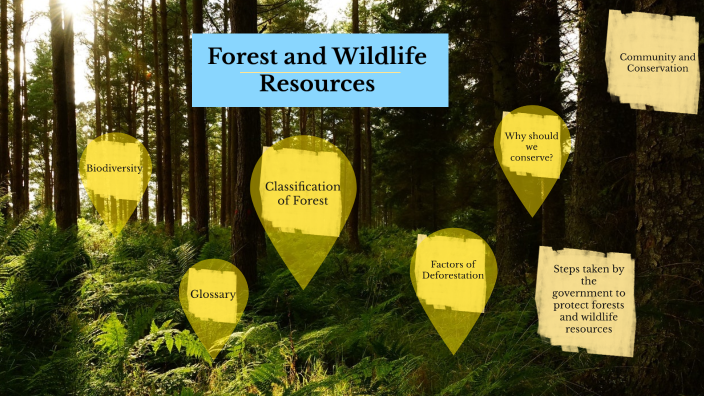 Forest and Wildlife Resources by Saniga Sunil Kumar on Prezi