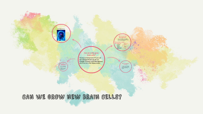 can-we-grow-new-brain-cells-by-grace-kiiru