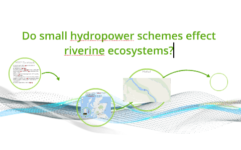 Do Small Hydropower Schemes Effect Riverine Ecosystems? By Jeff Baftof ...