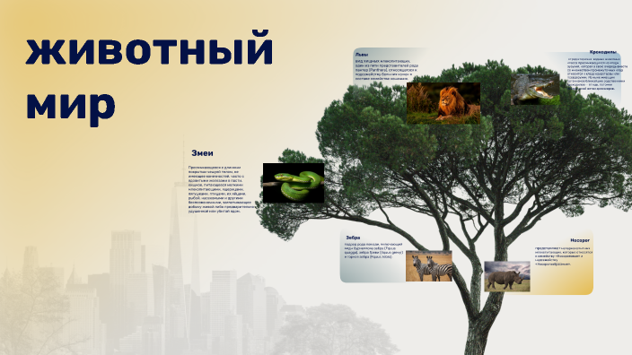 животный мир by мария егорова on Prezi