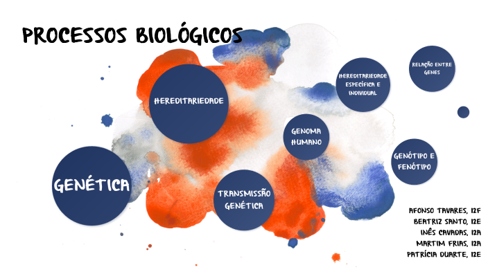 Processos Biológicos By Patrícia Duarte On Prezi