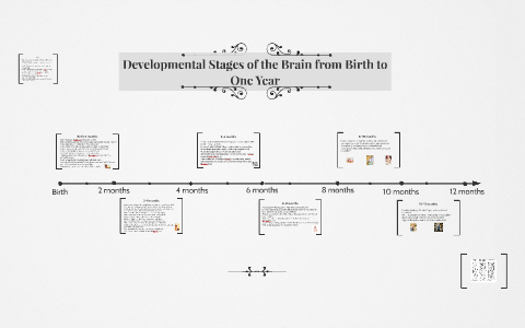 Developmental Stages of the Brain from Birth to One Year by Sara ...
