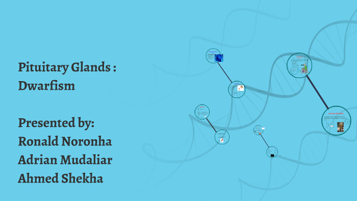 Pituitary Glands Dwarfism By Ronald Noronha On Prezi 