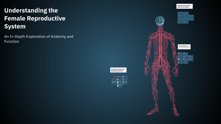 Understanding the Female Reproductive System by Rayna Whitely on Prezi
