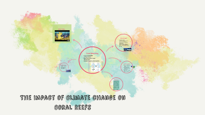 The Impact of Climate change on Coral Reefs by hannah Boyd on Prezi