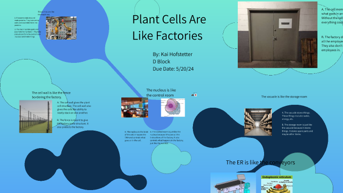 plant cells are like factories by Kai Hofstetter on Prezi