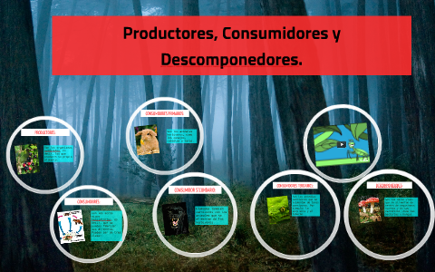 productores consumidores y descomponedores