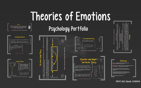 Cognitive Appraisal Theory Of Emotion Flow Chart