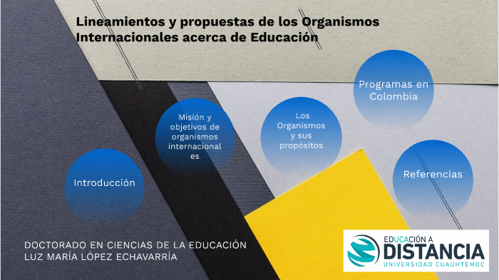 Lineamientos Y Propuestas De Los Organismos Internacionales Acerca De ...