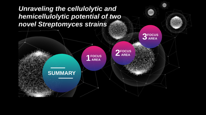 Staphylococcus argensis by Achima Baitoey on Prezi Next