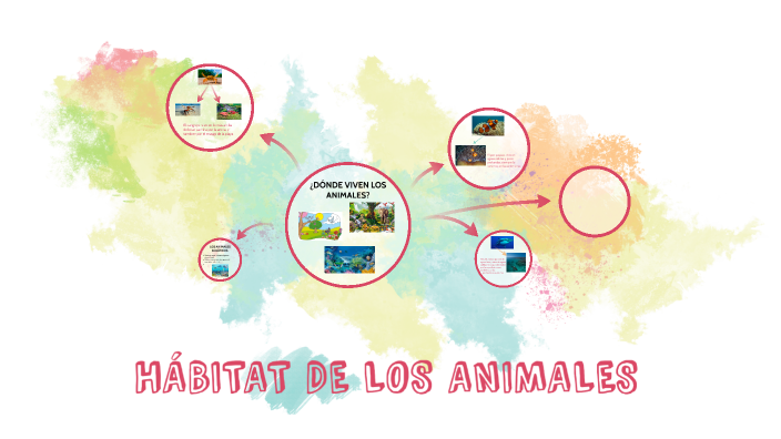 Hábitat De Los Animales Acuáticos By Carolina Gaete On Prezi