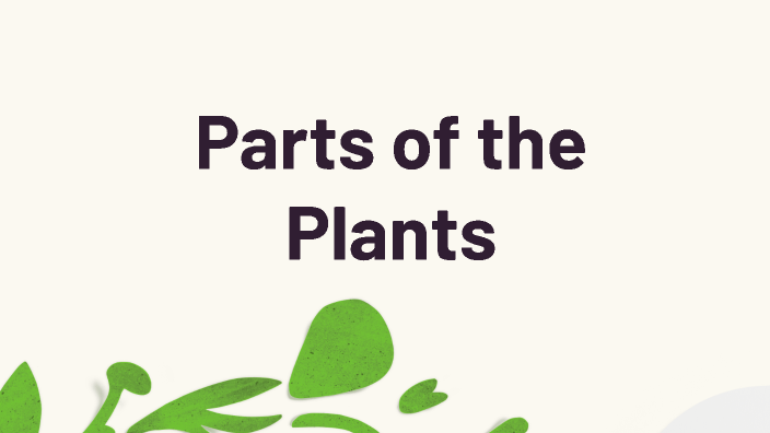 Parts of the Plants by zylei Agdeppa on Prezi