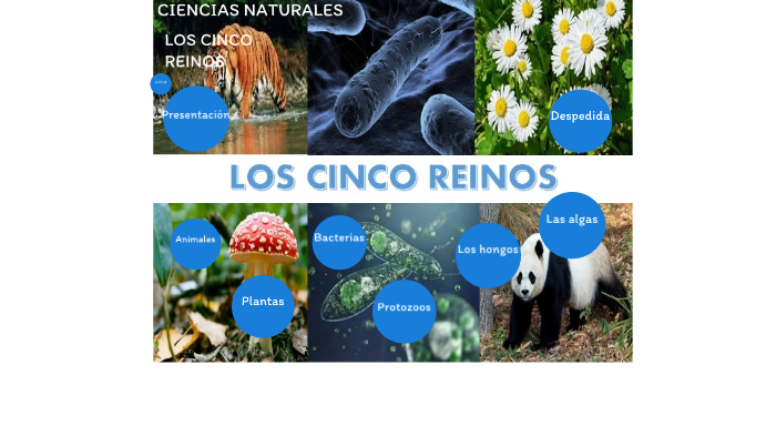 Ciencias naturales los cinco reinos by Elena DC on Prezi