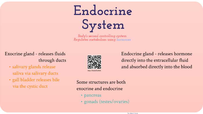 Anatomy & Physiology: The Endocrine System by james donahue