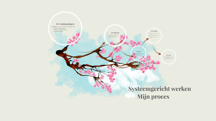 systeemgericht werken by daphne tempelman on Prezi