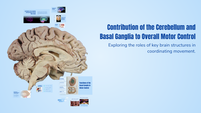Contribution of the Cerebellum and Basal Ganglia to Overall Motor ...