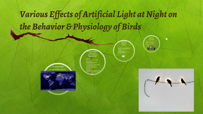 Various Effects of Artificial Light at Night on the Behavior by Varun ...