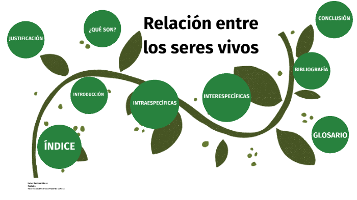 Relacion entre los seres vivos by Xavy Ramirez