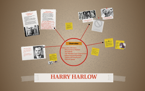 HARRY HARLOW by Shinegga Kugendran on Prezi