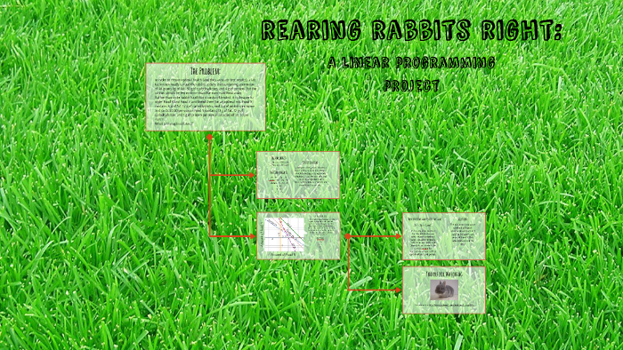 Linear Programming project by Tess Robinson on Prezi