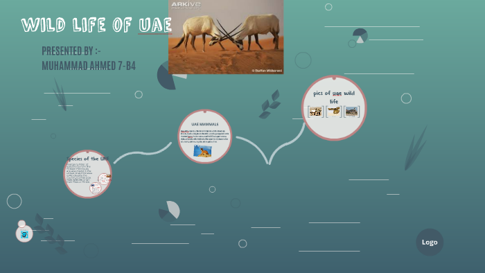 wild life of uae by Muhammad Ahmed on Prezi