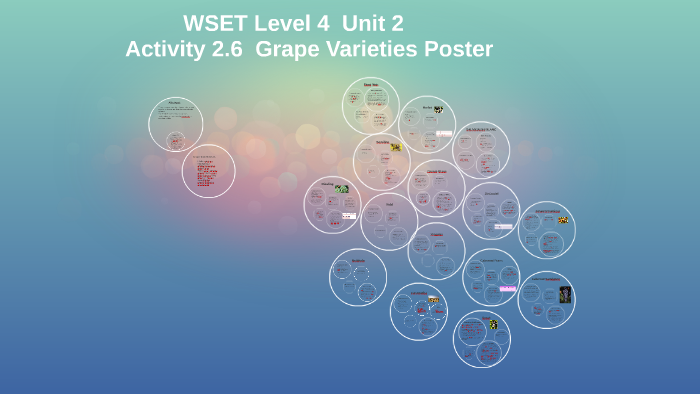 WSET Level 4 Unit 2 Activity 2.6 Grape Varieties Poster by Alan ...