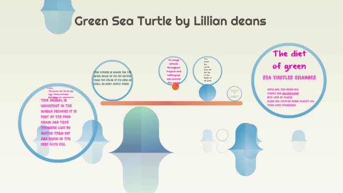 Green Sea Turtle by on Prezi
