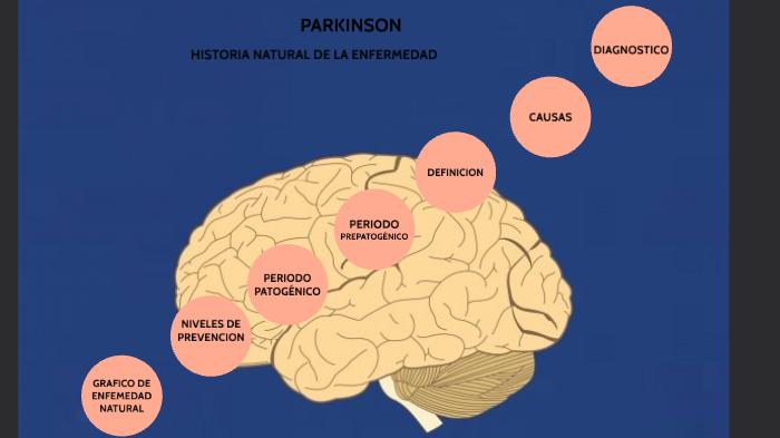 HISTORIA NATURAL DEL PARKINSON by FATIMA G HERRERA G. on Prezi