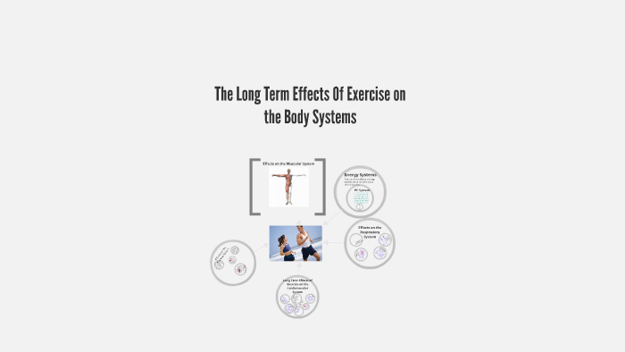 the-long-term-effects-of-exercise-by-emily-morgan