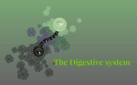 The Digestive system by on Prezi