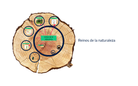Reinos de la naturaleza by julitza milena lizarazo jaimes on Prezi