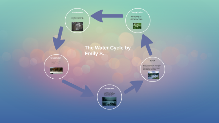 The Water Cycle by Emily Sanchez on Prezi