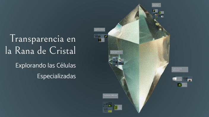 Rezi Rana Transparencia en la Rana de Cristal by bernardita morales on Prezi