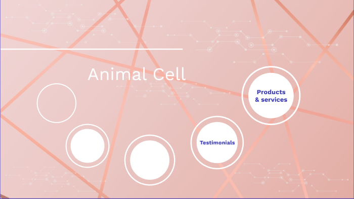 Animal Cell by Fiona Shepherd on Prezi