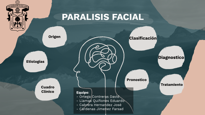 Parálisis Facial by Carlos David Ortega Contreras on Prezi