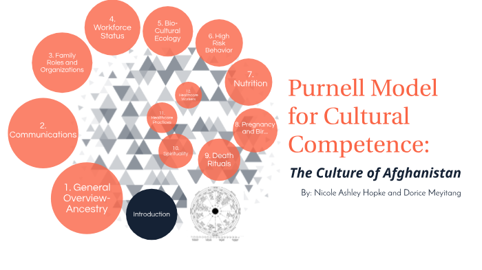 the-purnell-model-for-cultural-competence-video-lesson-transcript