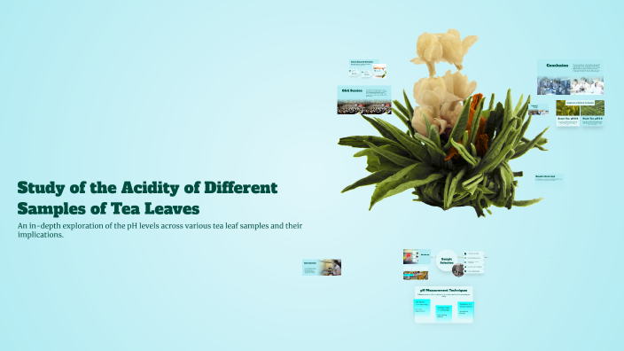 Study of the Acidity of Different Samples of Tea Leaves by kanchan ...
