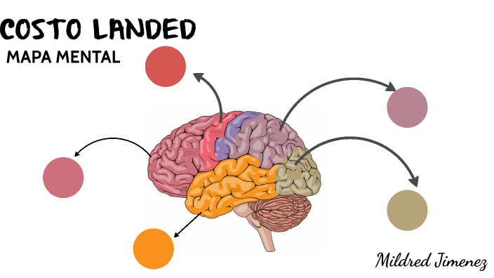 Mapa mental by Mildred Jimenez on Prezi