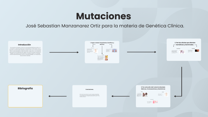 Genética, Mapa Mental De Mutaciones By JOSE SEBASTIAN MANZANAREZ ORTIZ ...