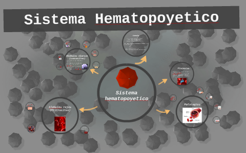 Sistema Hematopoyetico by Danielle Yegetzin on Prezi