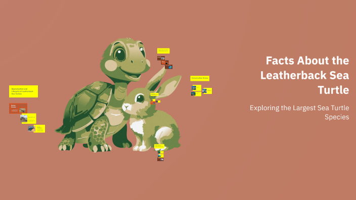 Facts About the Leatherback Sea Turtle by Pravin Bhateshra on Prezi