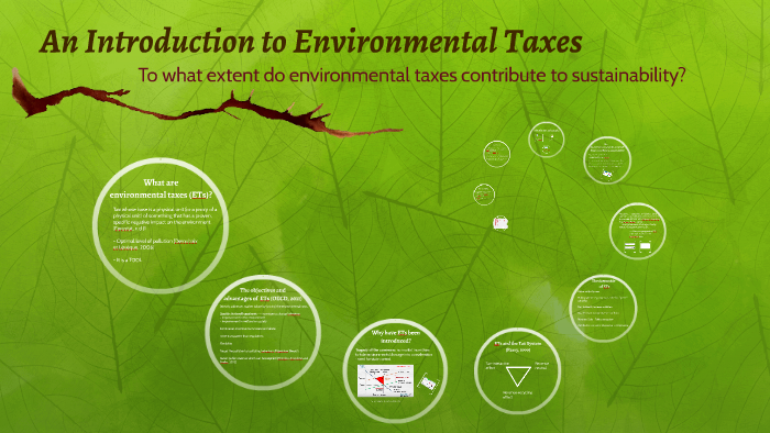 essay on environmental taxes