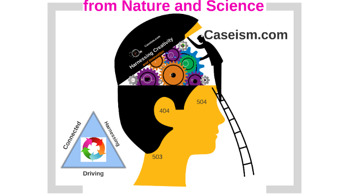 Leasing decision at magnet beauty products inc essay 06 image