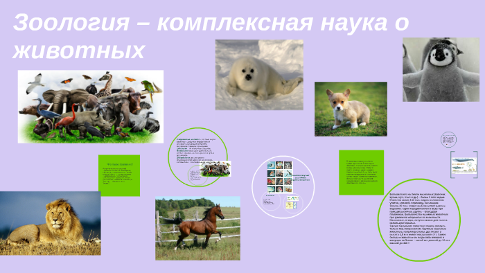 8 наук о животных. 8 наук о животных